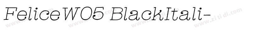 FeliceW05 BlackItali字体转换